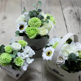 Buquês de Flores de Sabão - Verde pastel