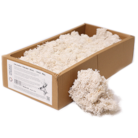 Musgo Decorativo - Branco - (aprox. 500g)