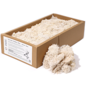 Musgo Decorativo - Natural - (aprox. 500g)