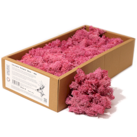 Musgo Decorativo - Rosa - (aprox. 500g)